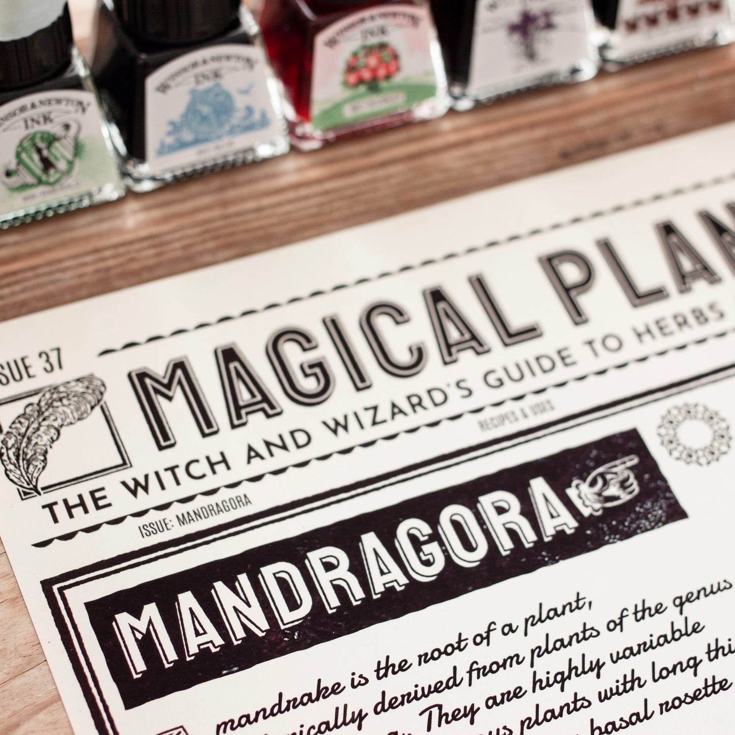 Wizard Newspaper Mandragora Botanical Art Print