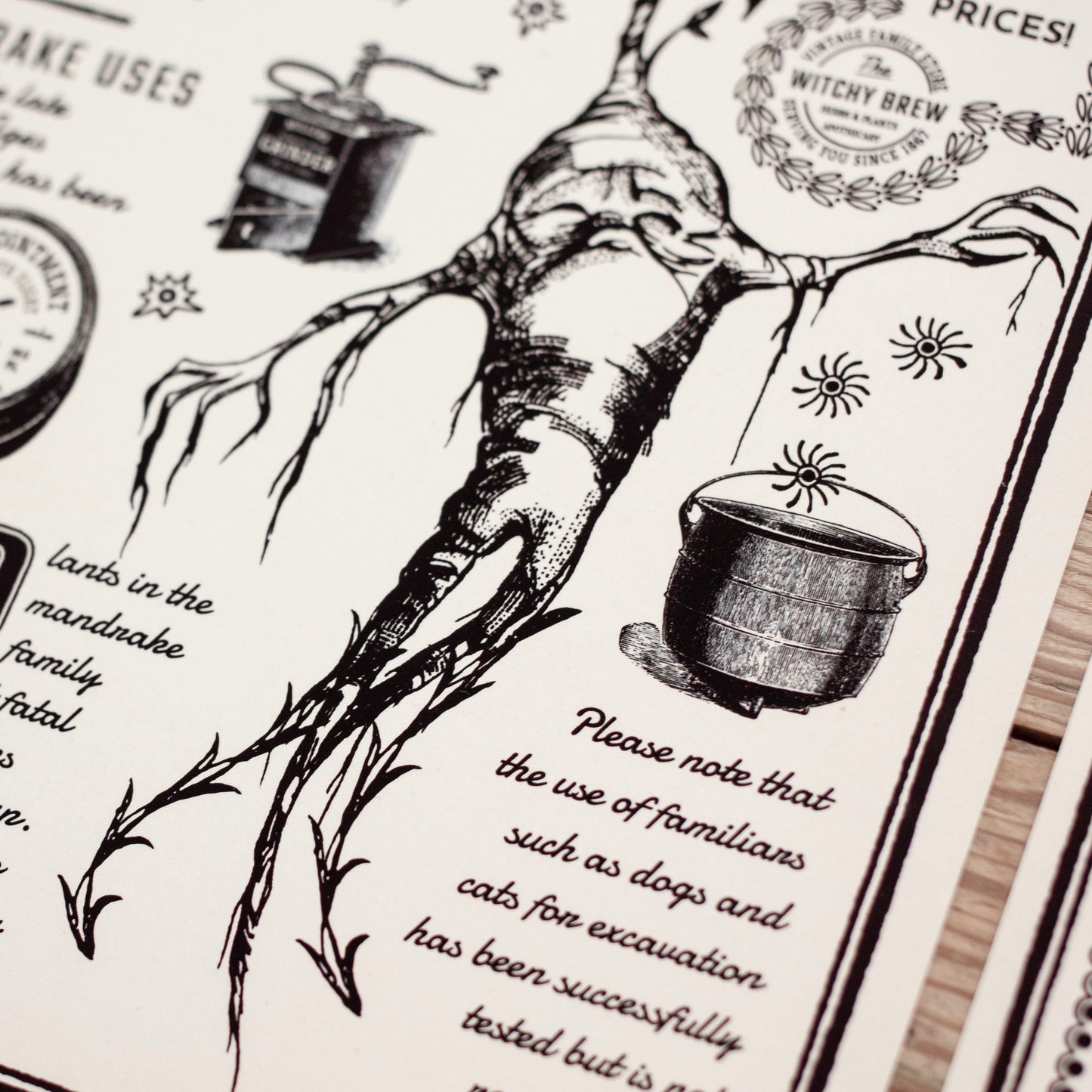 Wizard Newspaper Mandragora Botanical Art Print