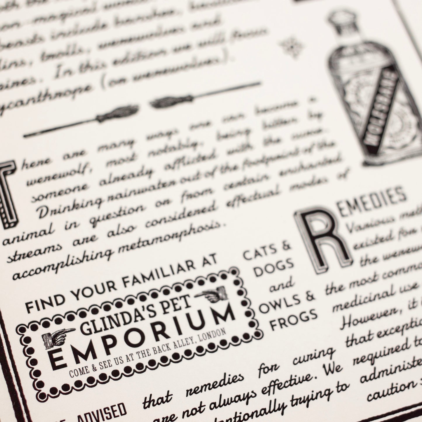 Wizard Newspaper Nocturnal Beasts Art Print