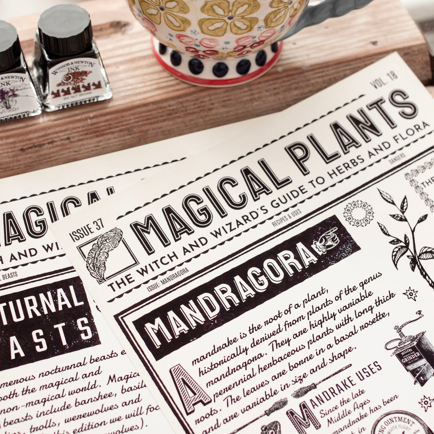 Wizard Newspaper Mandragora Botanical Art Print