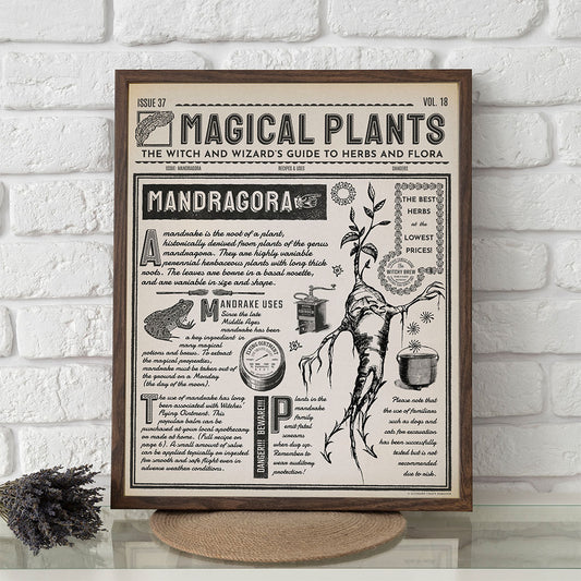 Wizard Newspaper Mandragora Botanical Art Print