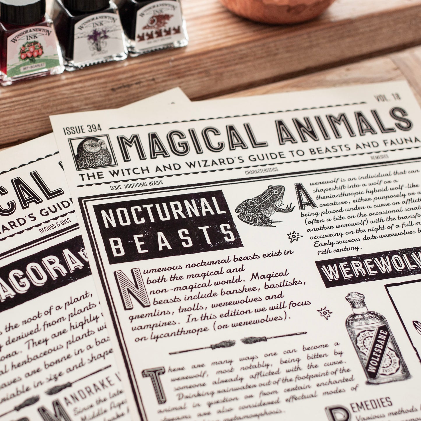 Wizard Newspaper Nocturnal Beasts Art Print
